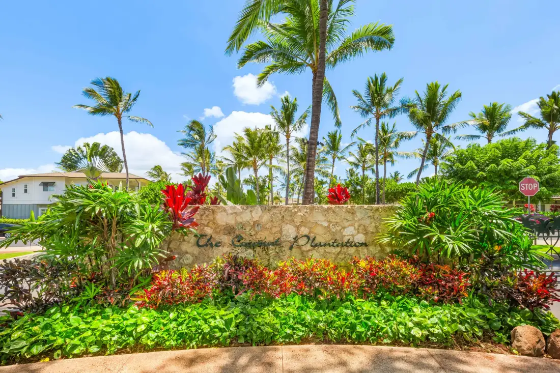 Una entrada ajardinada tropical con palmeras, plantas con flores y un muro bajo de piedra.