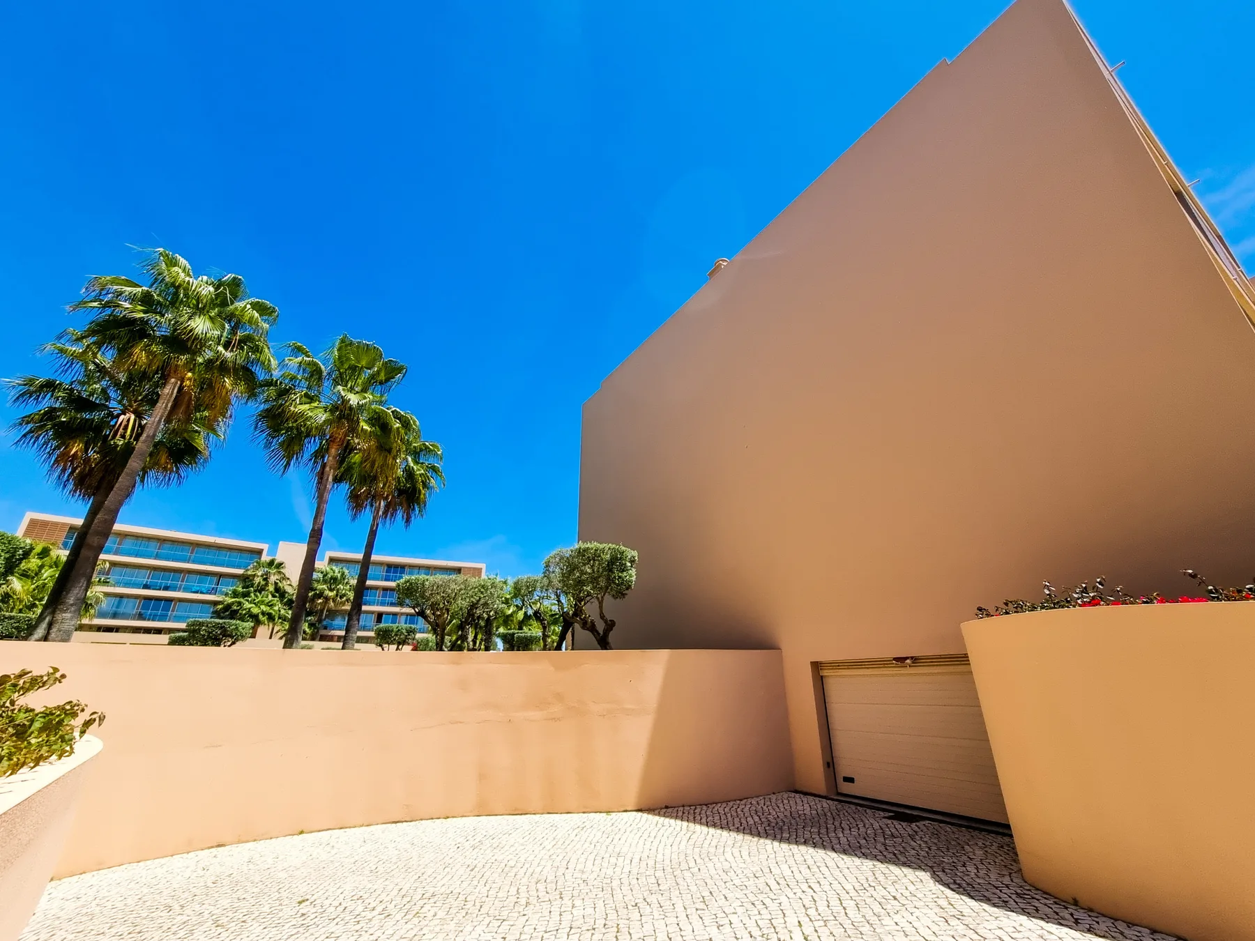 Patio exterior con muros claros, palmeras y suelo pavimentado.