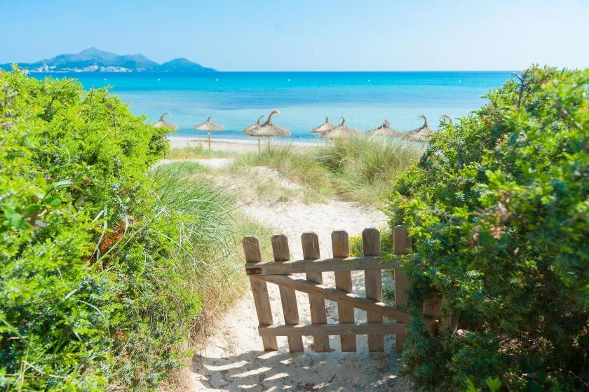 Un sendero de arena entre vegetación costera lleva a una playa y al mar turquesa.