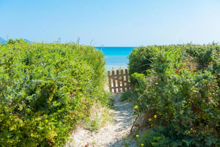 Un sendero de arena atraviesa la vegetación costera hasta una puerta de madera frente al mar.