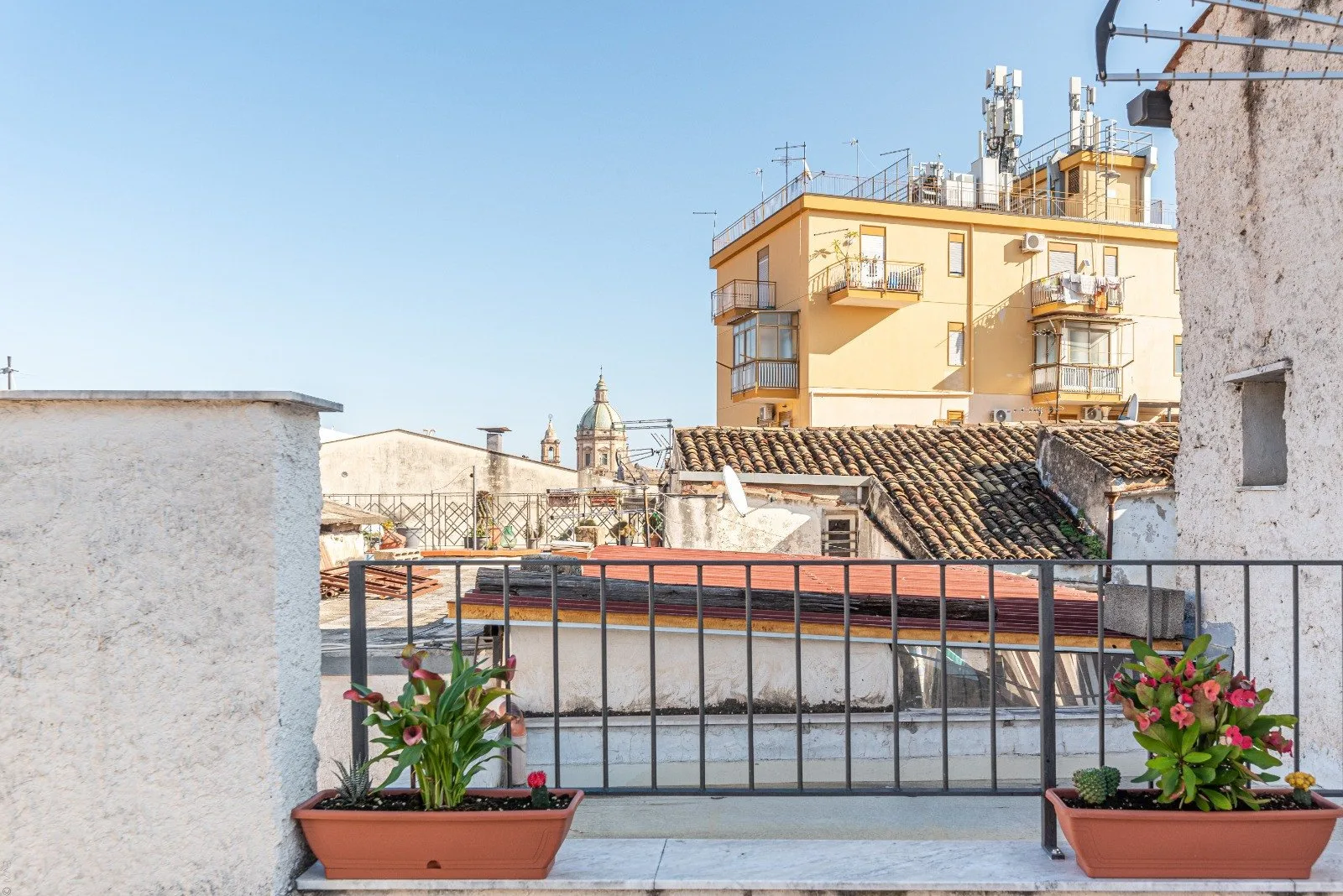 A rooftop terrace overlooks nearby buildings, with flowering plants along the railing.