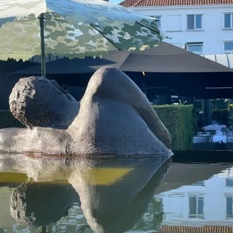 Hotel Montanus garden