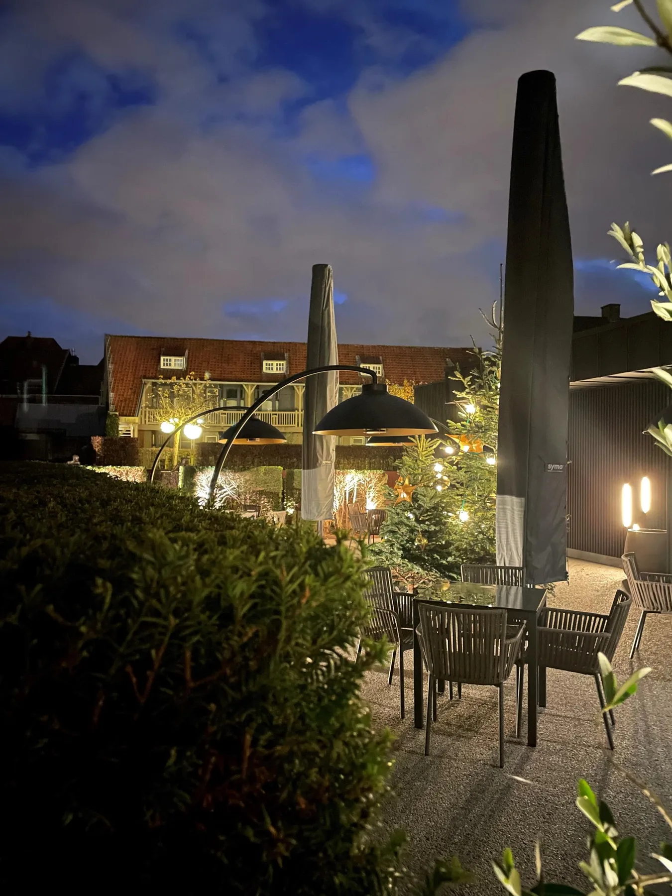 Hotel Montanus terrace