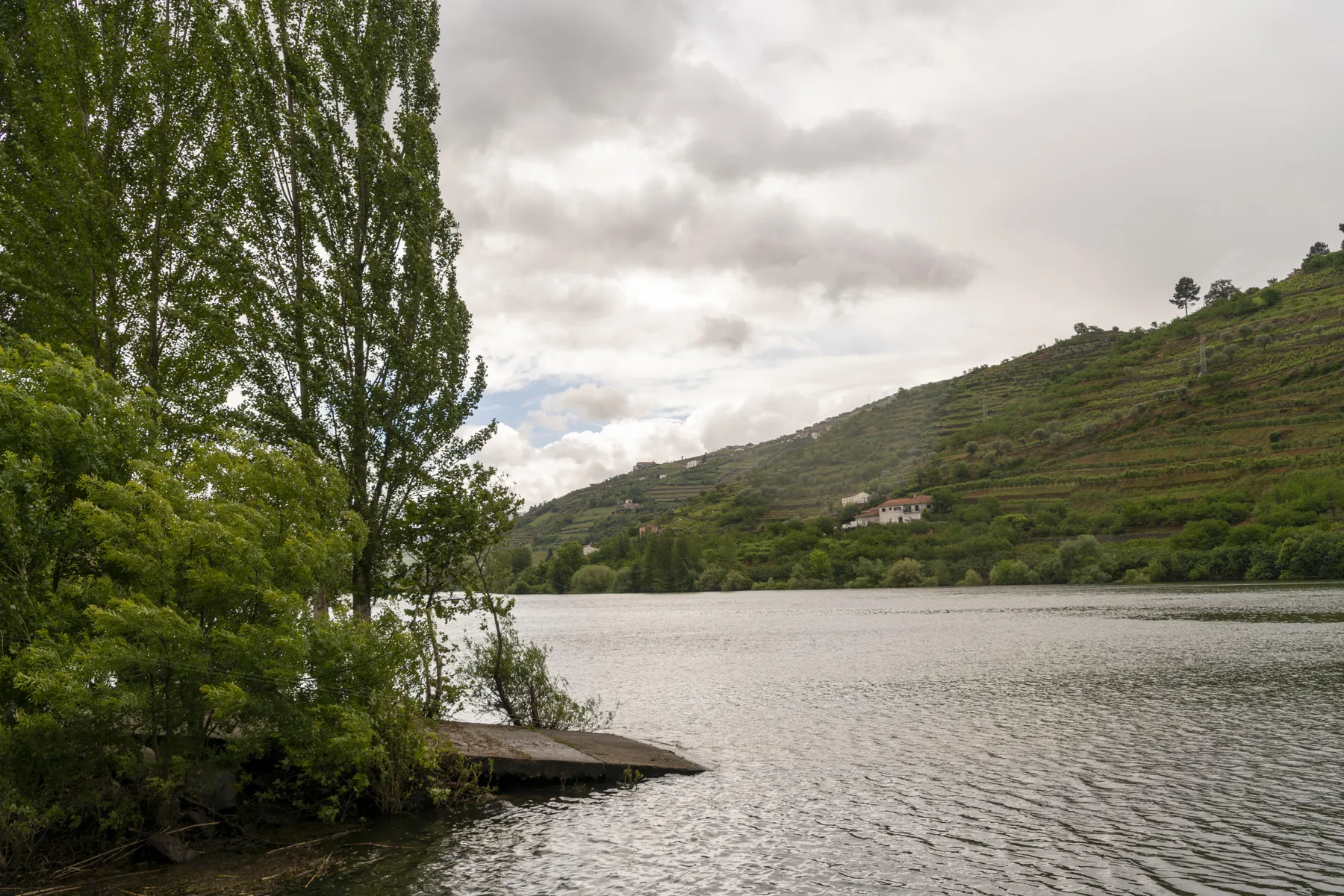 Un río pasa bajo colinas verdes en terrazas, con árboles junto a la orilla cercana.