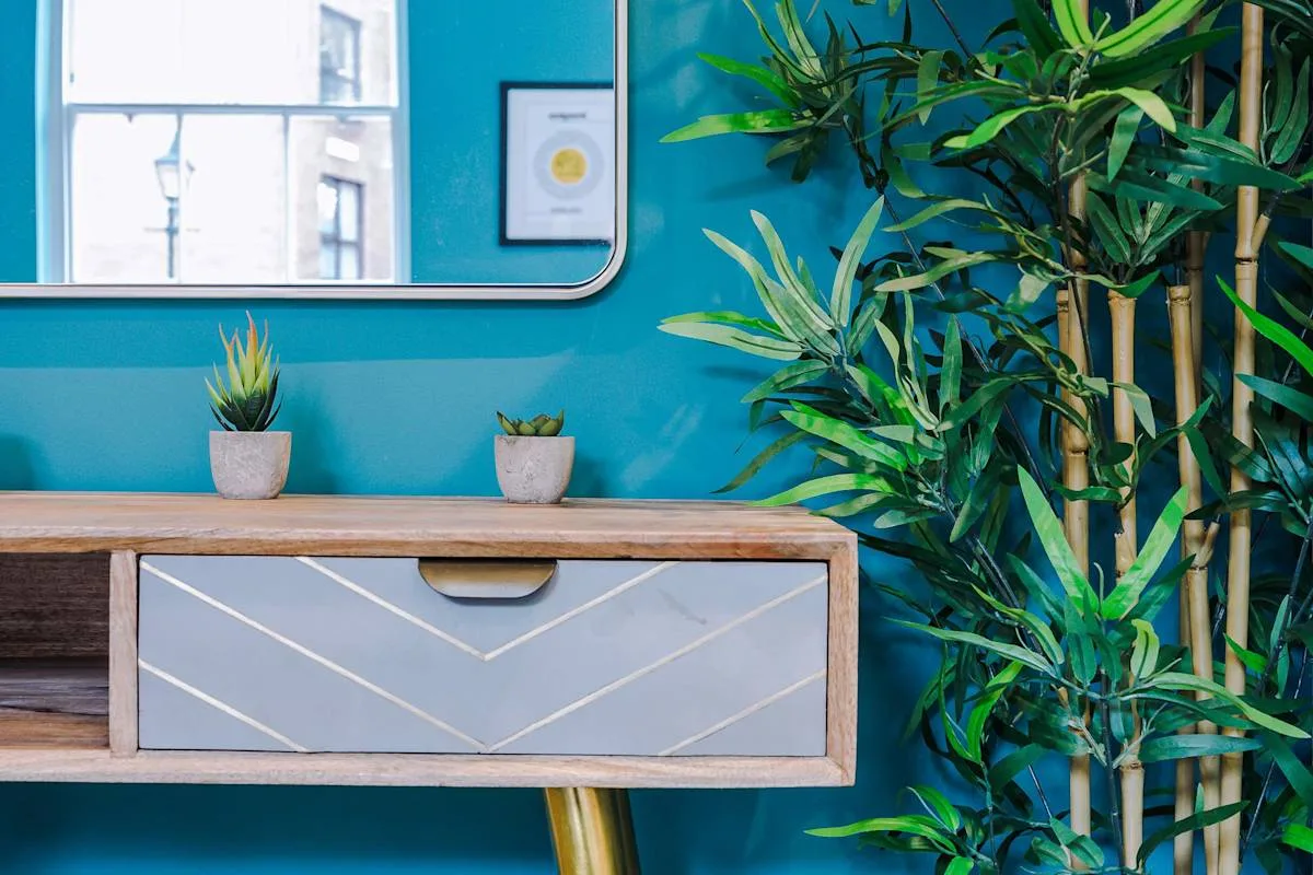 A teal room features a wooden console with small potted plants and a large leafy plant.