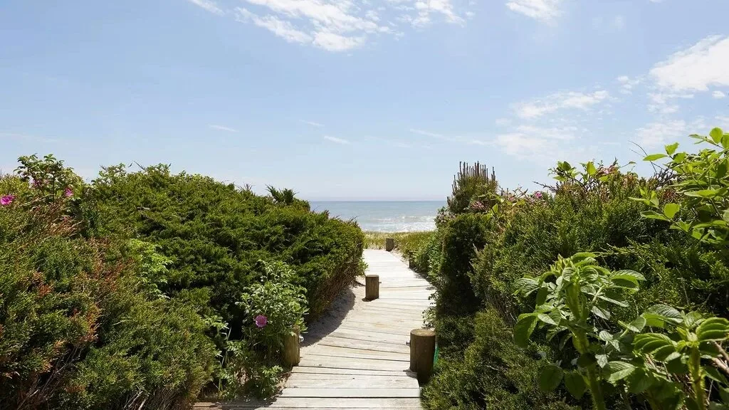 A wooden walkway passes between dense greenery toward the ocean.