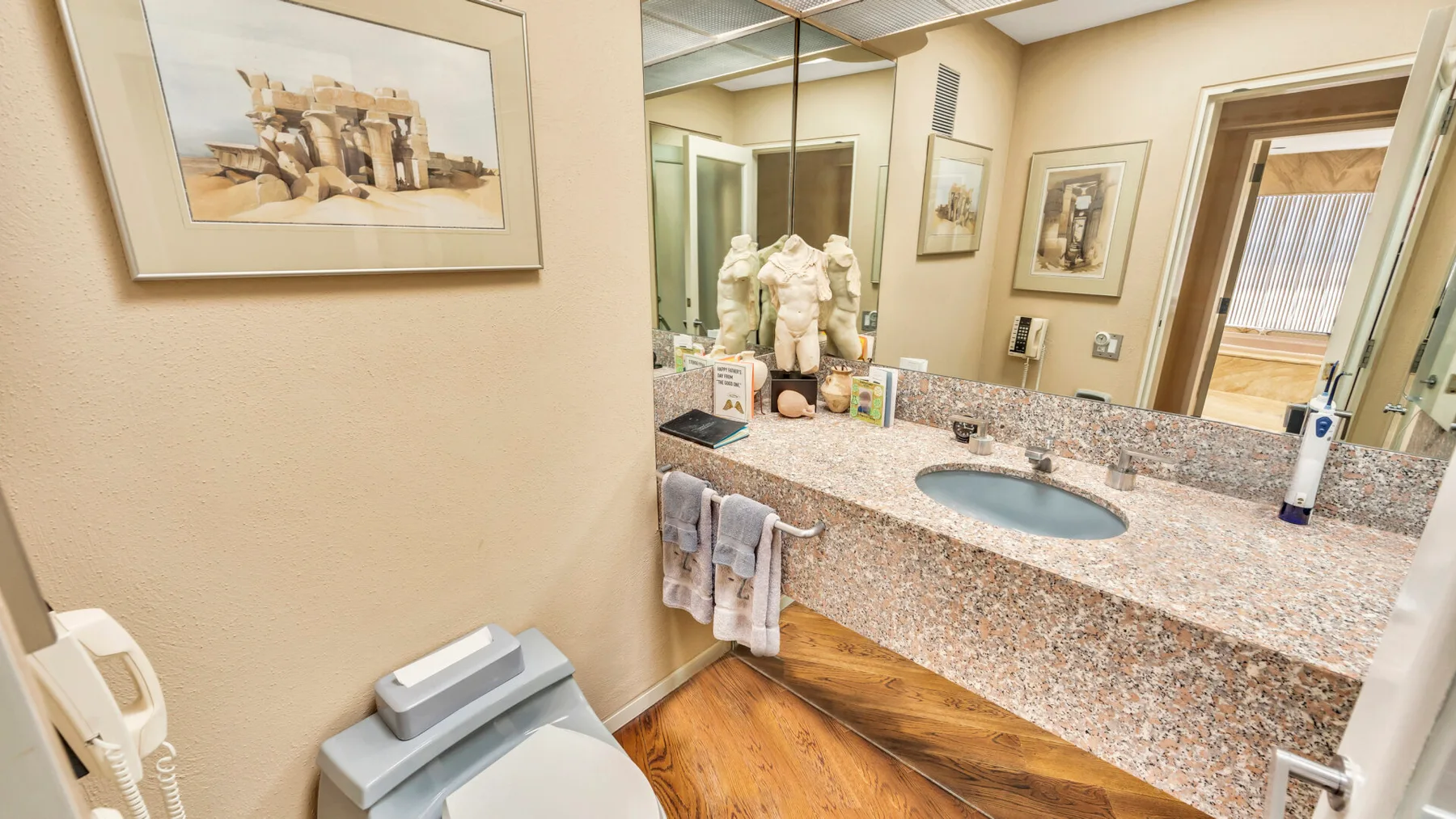 A bathroom vanity with a sink and a toilet beside the counter.