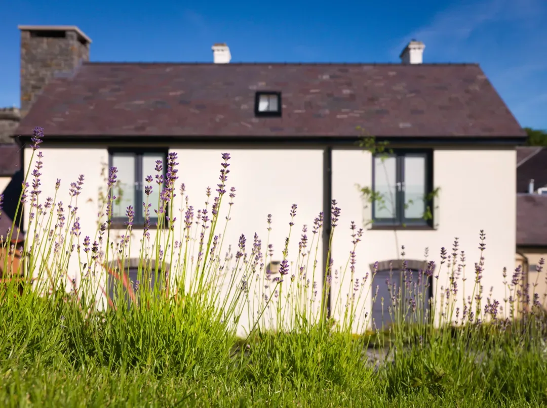 Courtyard suite exterior