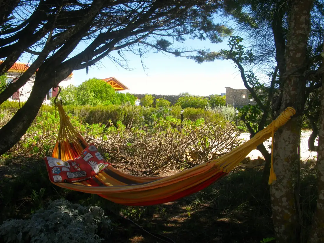 A hammock hangs between trees in a leafy garden.
