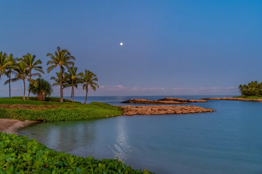 A tropical shoreline with palm trees, a rocky outcrop, and calm blue water.