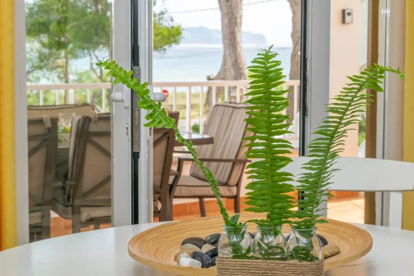 A dining table with leafy plants sits beside open glass doors overlooking a patio and water.