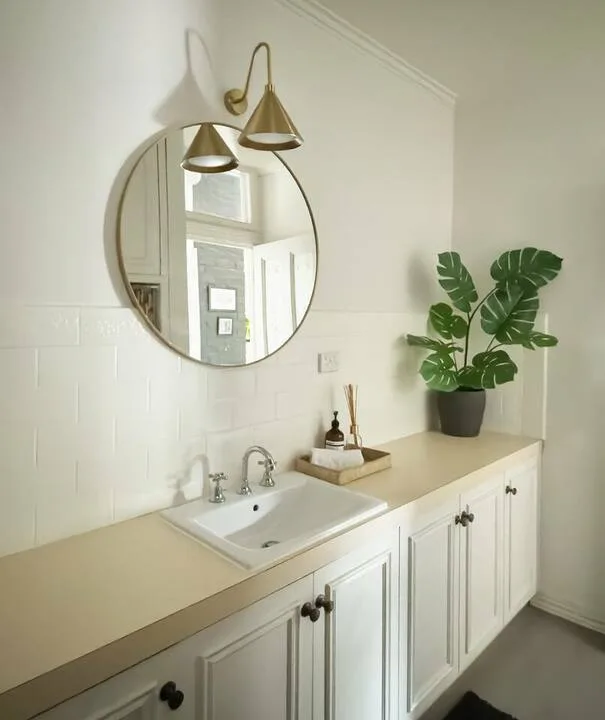 A bathroom vanity with a sink, round mirror, and potted plant.