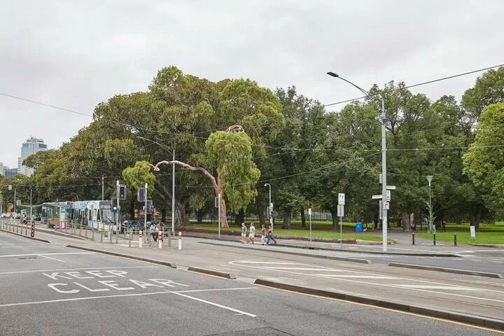 A city street and tram tracks run alongside a tree-lined park.