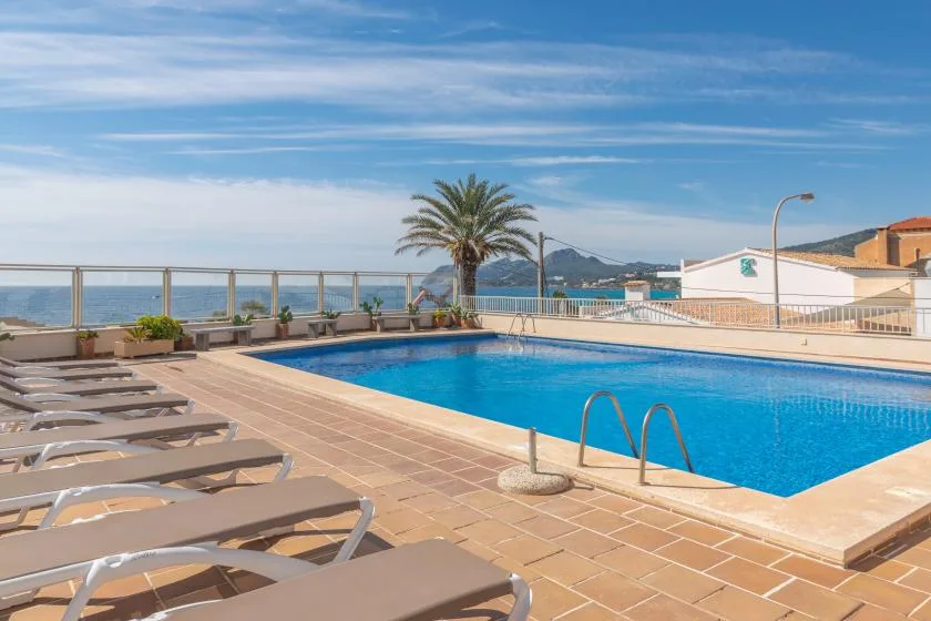 Outdoor swimming pool with lounge seating and a palm tree beside the water.