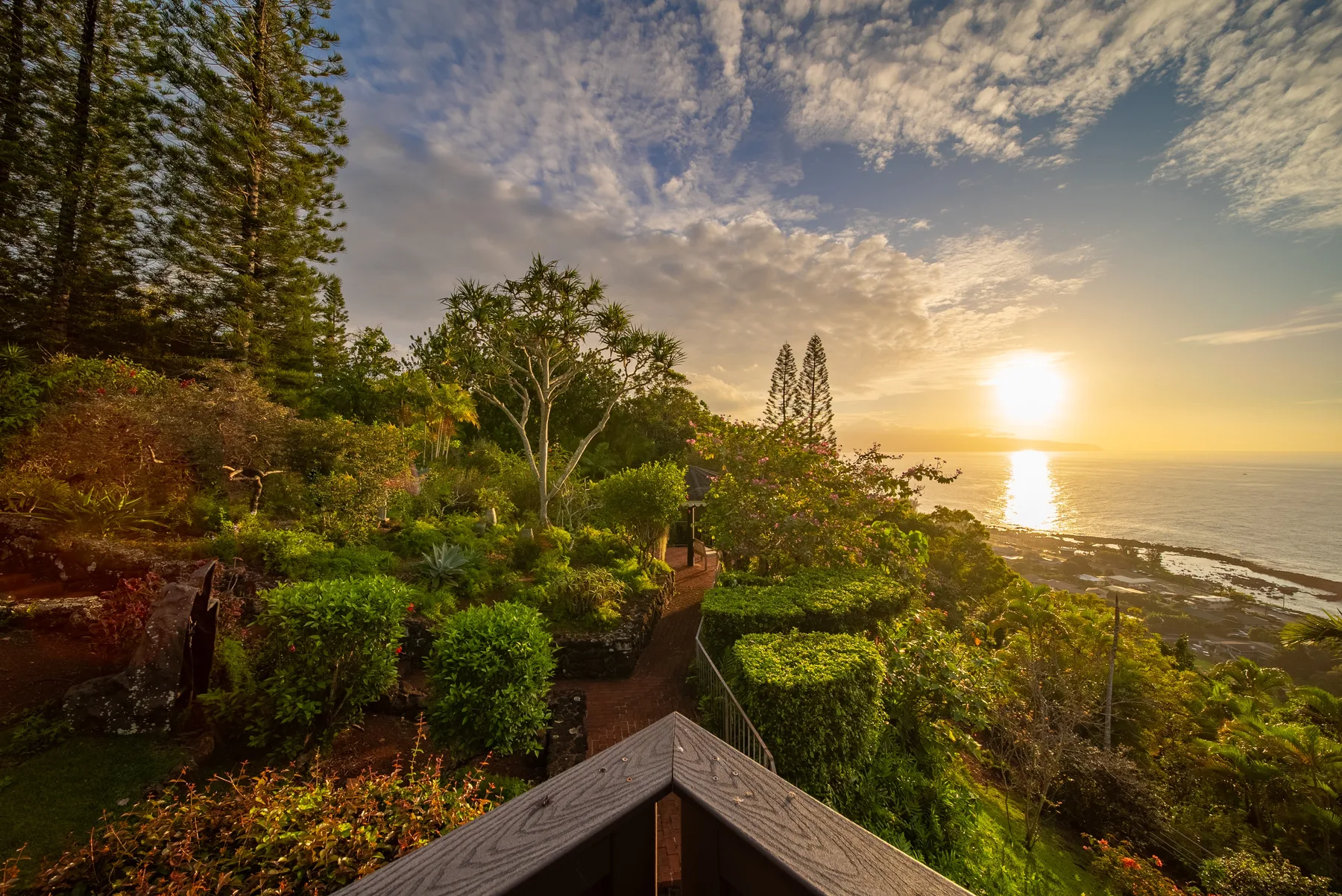 A coastal garden overlooks the ocean at sunset.