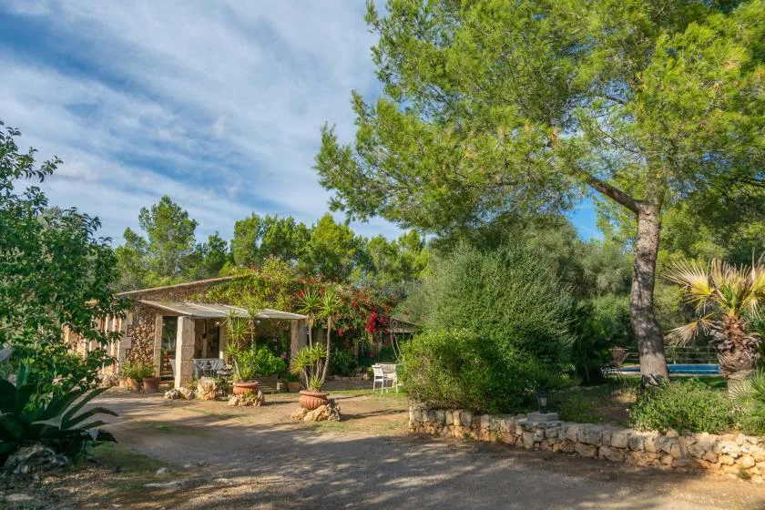 Un patio ajardinado con una zona de estar a la sombra, rodeada de árboles y plantas.