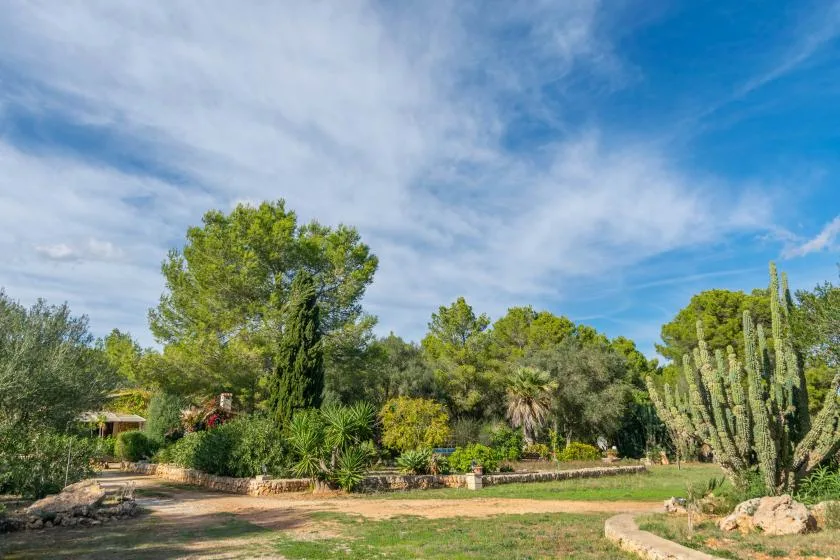 Un jardín paisajístico con árboles, cactus y césped bajo un cielo azul.