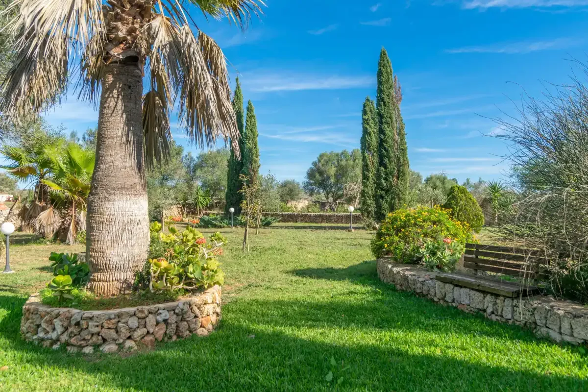 Un jardín con césped, una palmera y asientos.