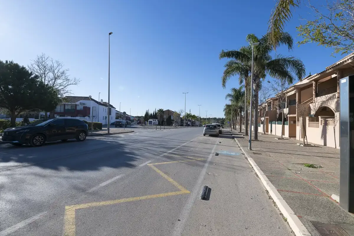 A broad street runs past low-rise buildings and palm trees.