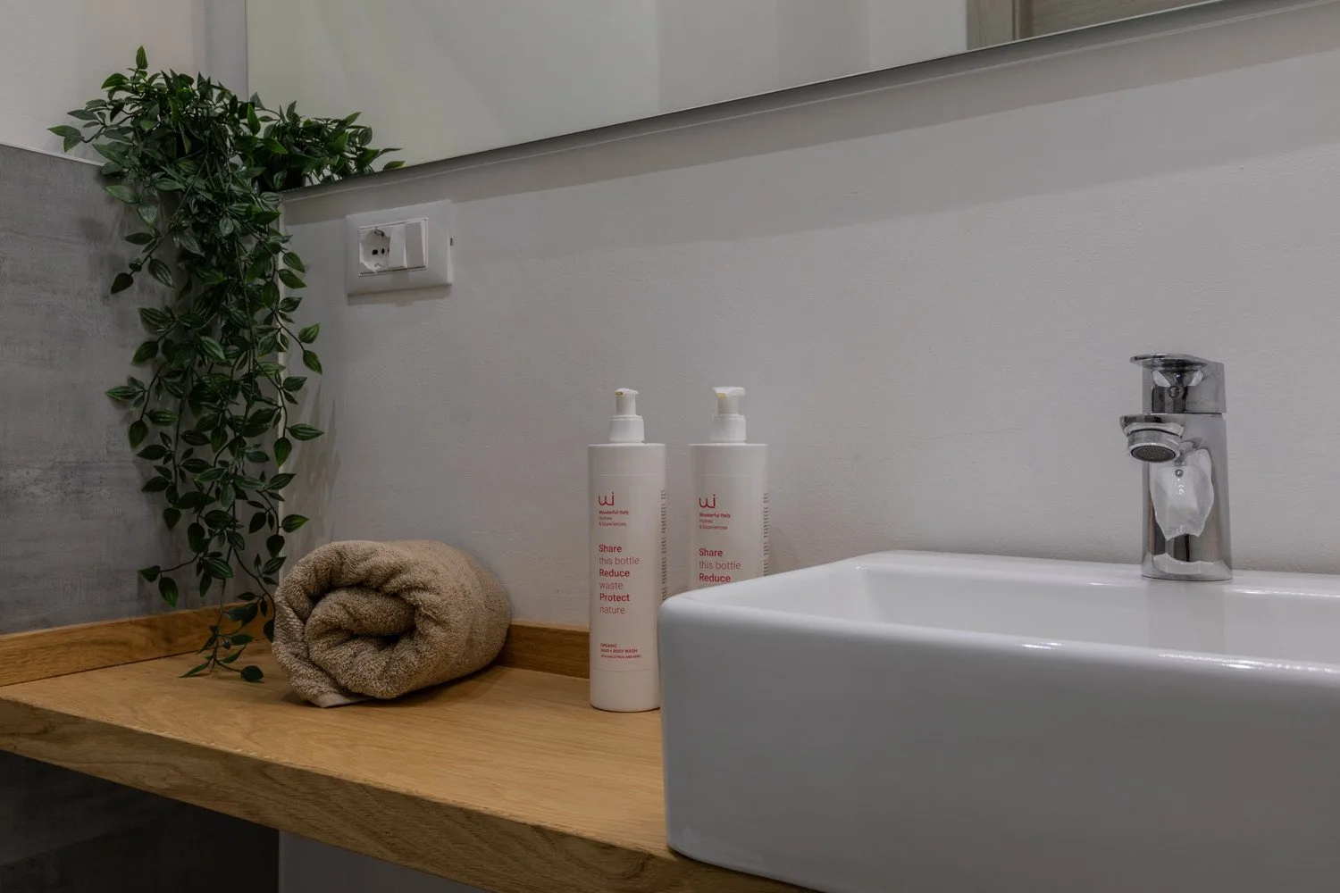 Bathroom sink on a wooden counter with toiletries and a leafy plant.