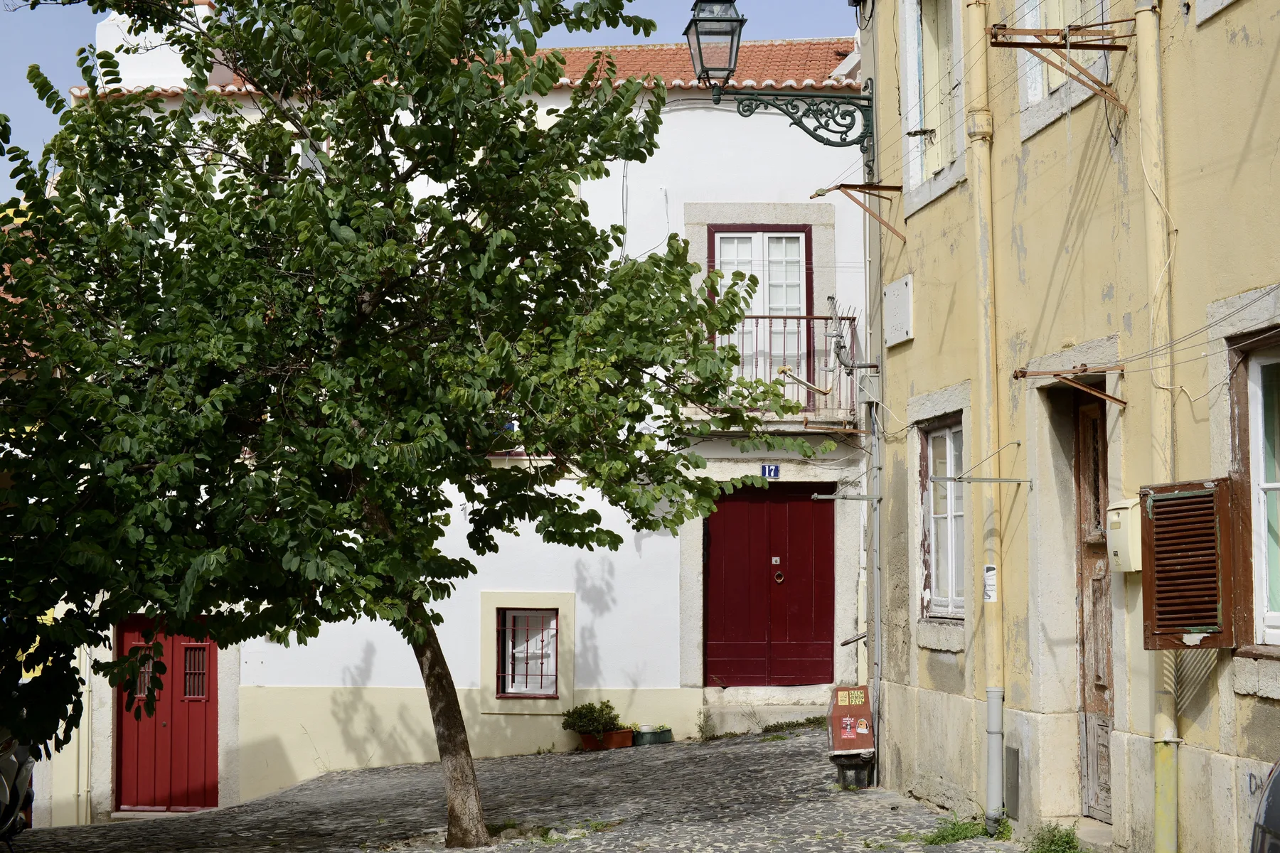A cobblestone courtyard with a leafy tree and a red door.