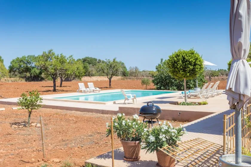 An outdoor swimming pool is surrounded by sun loungers and dry, open grounds.
