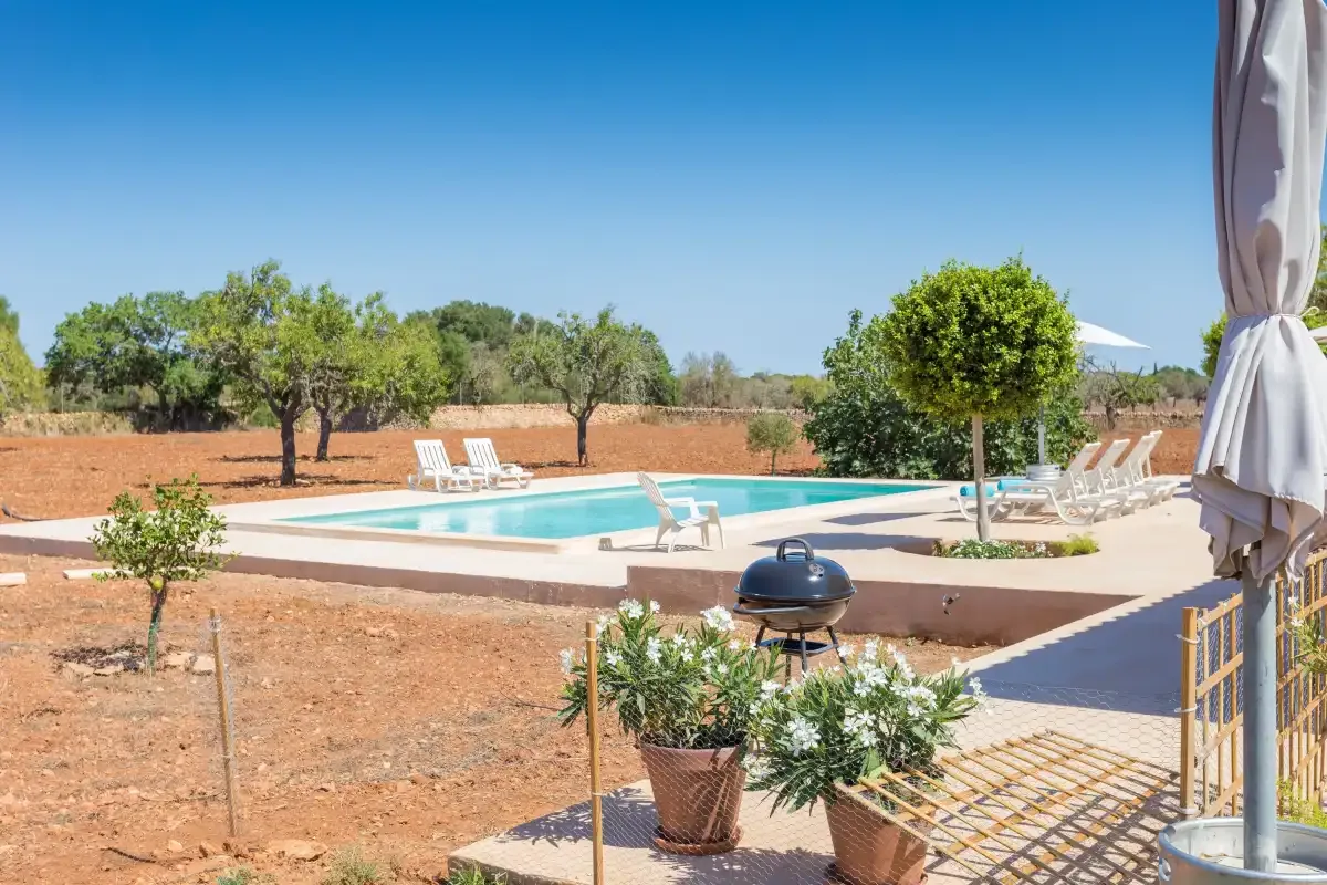 An outdoor pool sits among lounge seating and dry, tree-lined grounds.