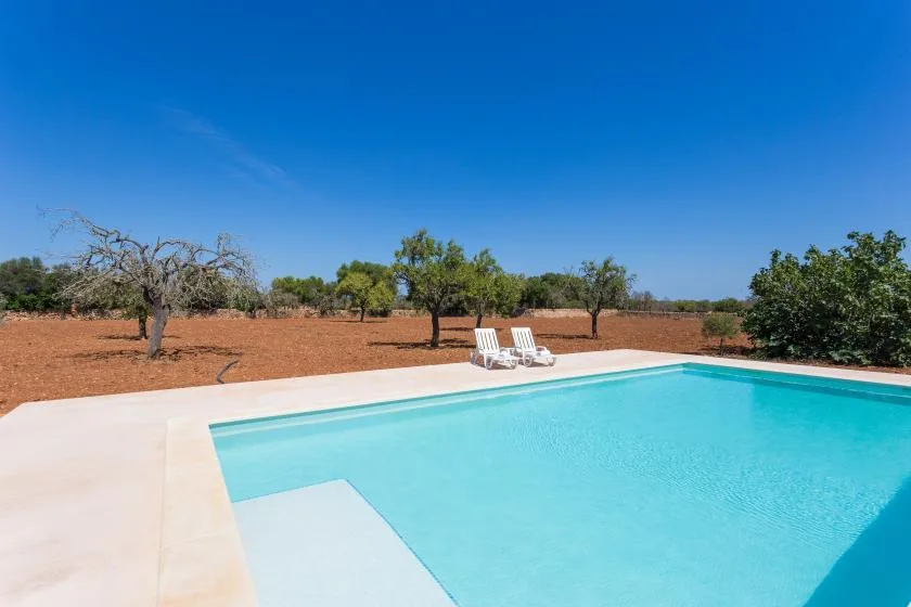 A swimming pool sits beside a pale patio in an open, dry landscape.
