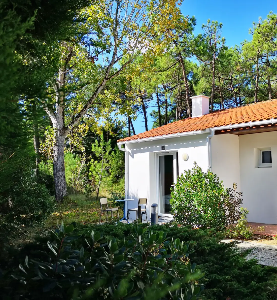 Terraza de la habitación