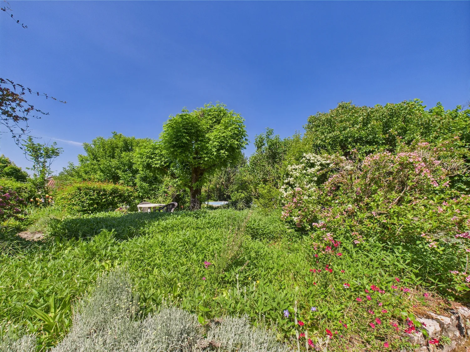 Property gallery photo