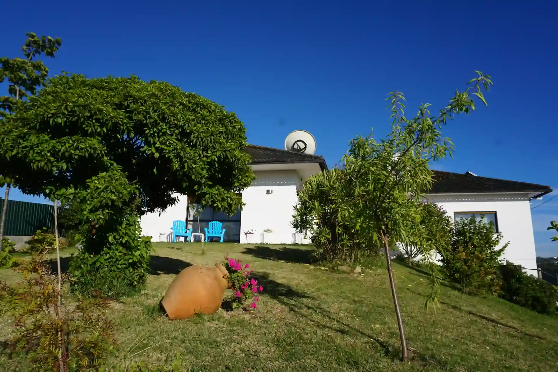 Bed and Breakfast Vista front garden