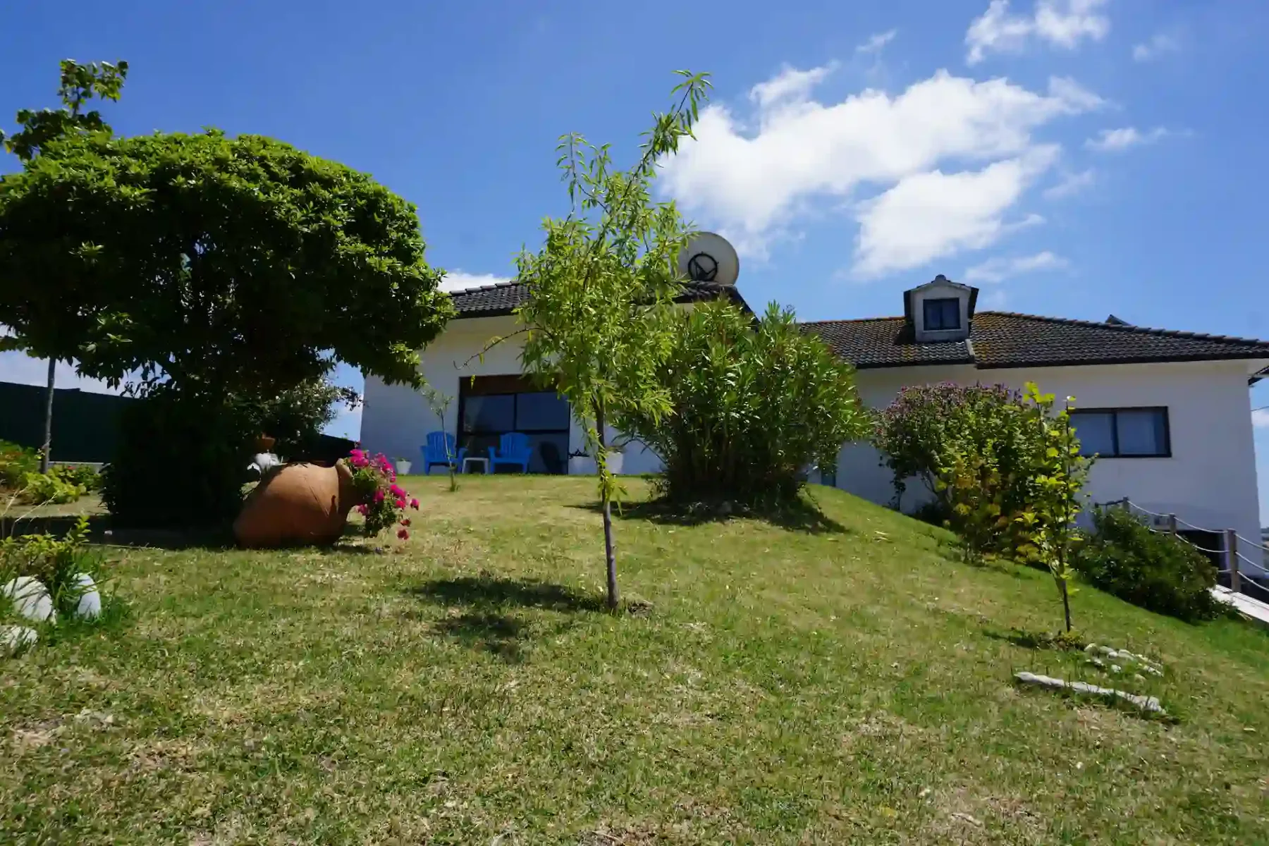 Bed and Breakfast Vista garden
