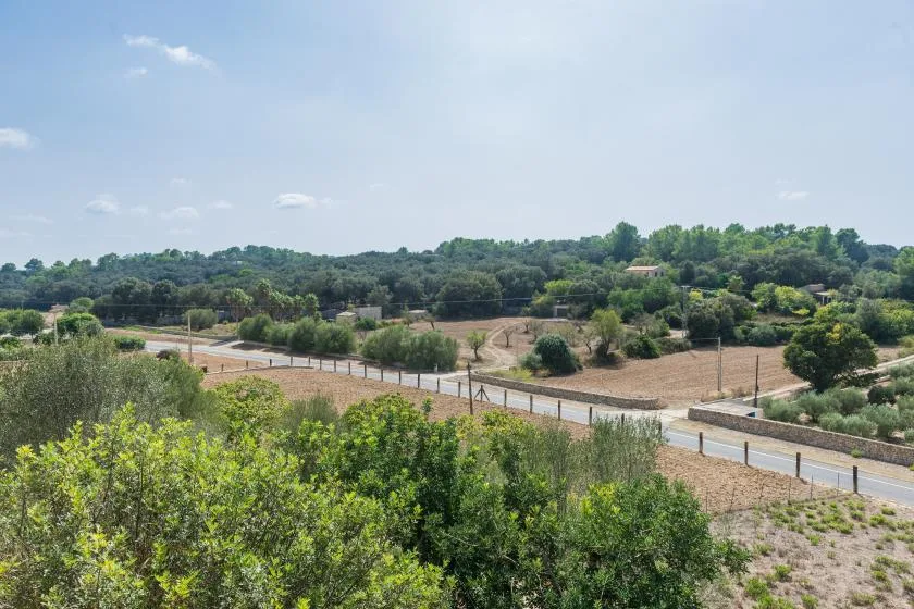Un paisaje rural con un camino sinuoso, campos y colinas arboladas.