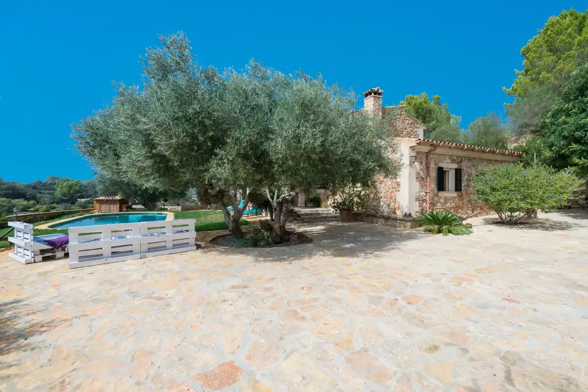 Una casa de piedra y un olivo están junto a un patio pavimentado y una piscina.