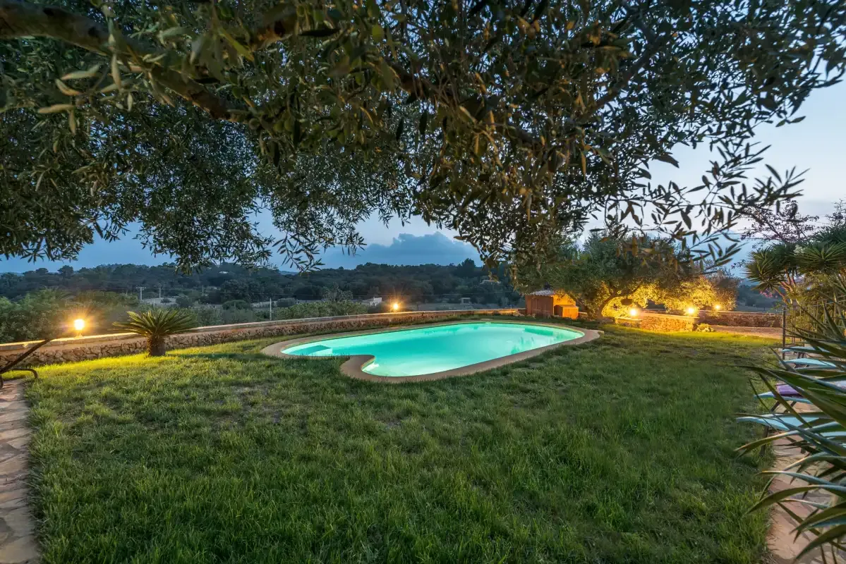 Una piscina iluminada está en un jardín de césped bajo una amplia copa de árbol.
