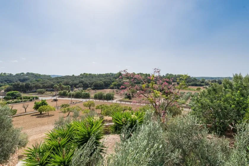 Un jardín ajardinado da a campos abiertos y un horizonte arbolado bajo un cielo despejado.