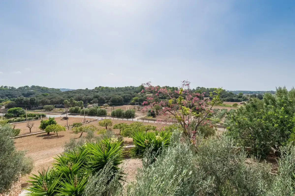 Paisaje rural con campos cultivados, arbustos y árboles bajo un cielo despejado.
