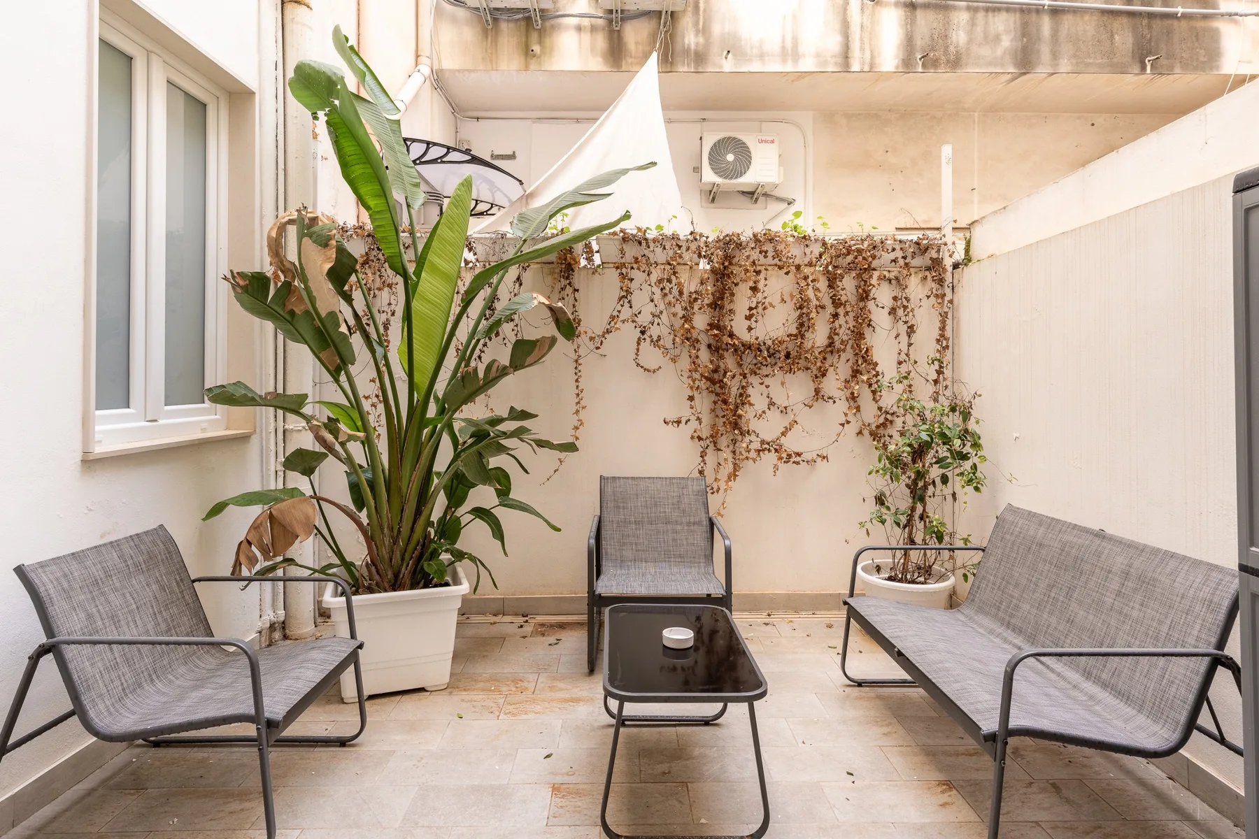 Un patio exterior con asientos, plantas en macetas y una mesa baja.