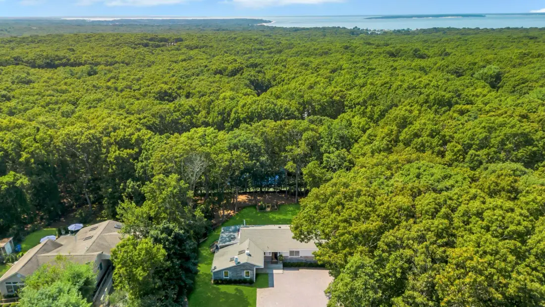 Aerial view of a home beside a vast green forest, with water on the horizon.