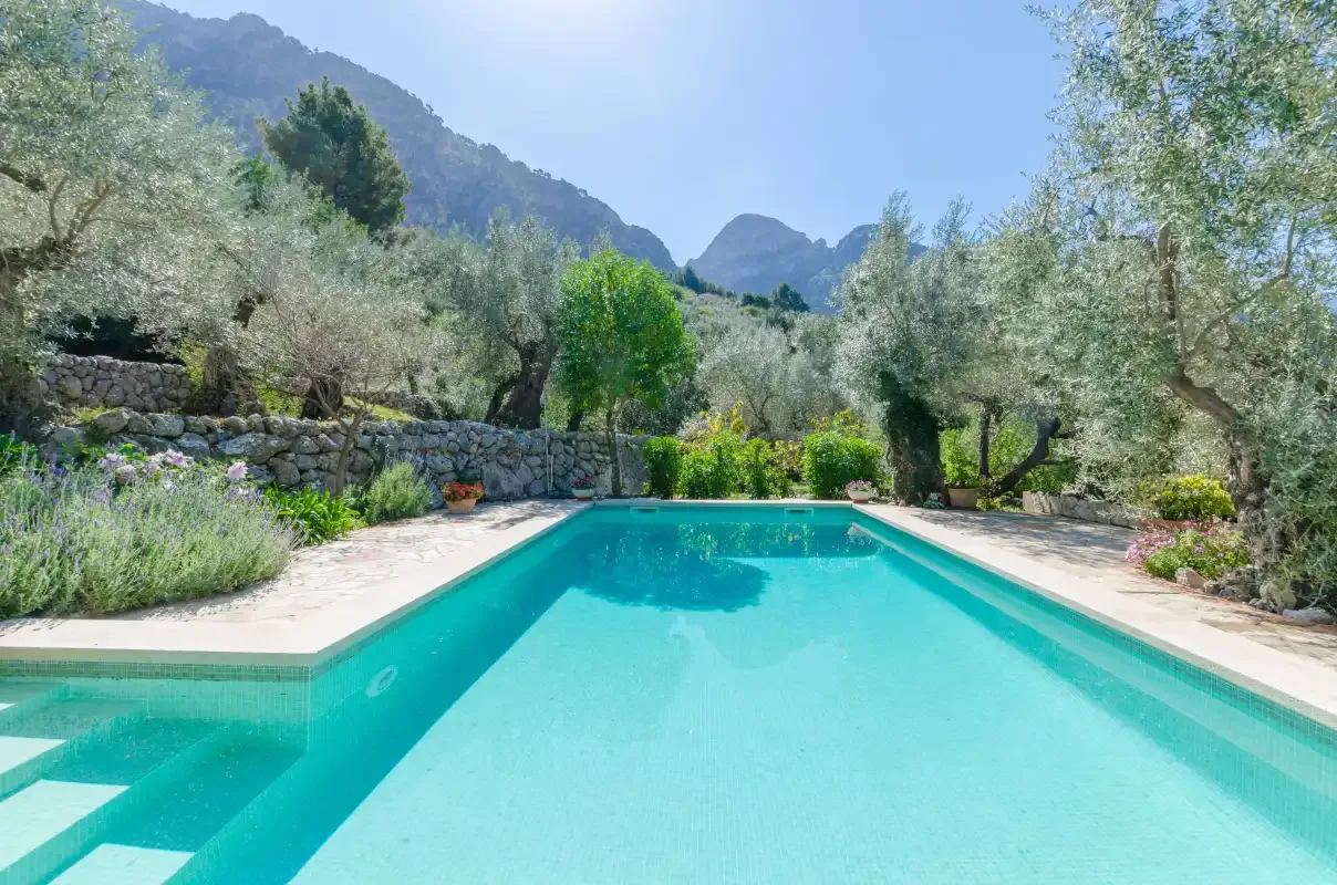 An outdoor swimming pool is surrounded by trees and mountain scenery.