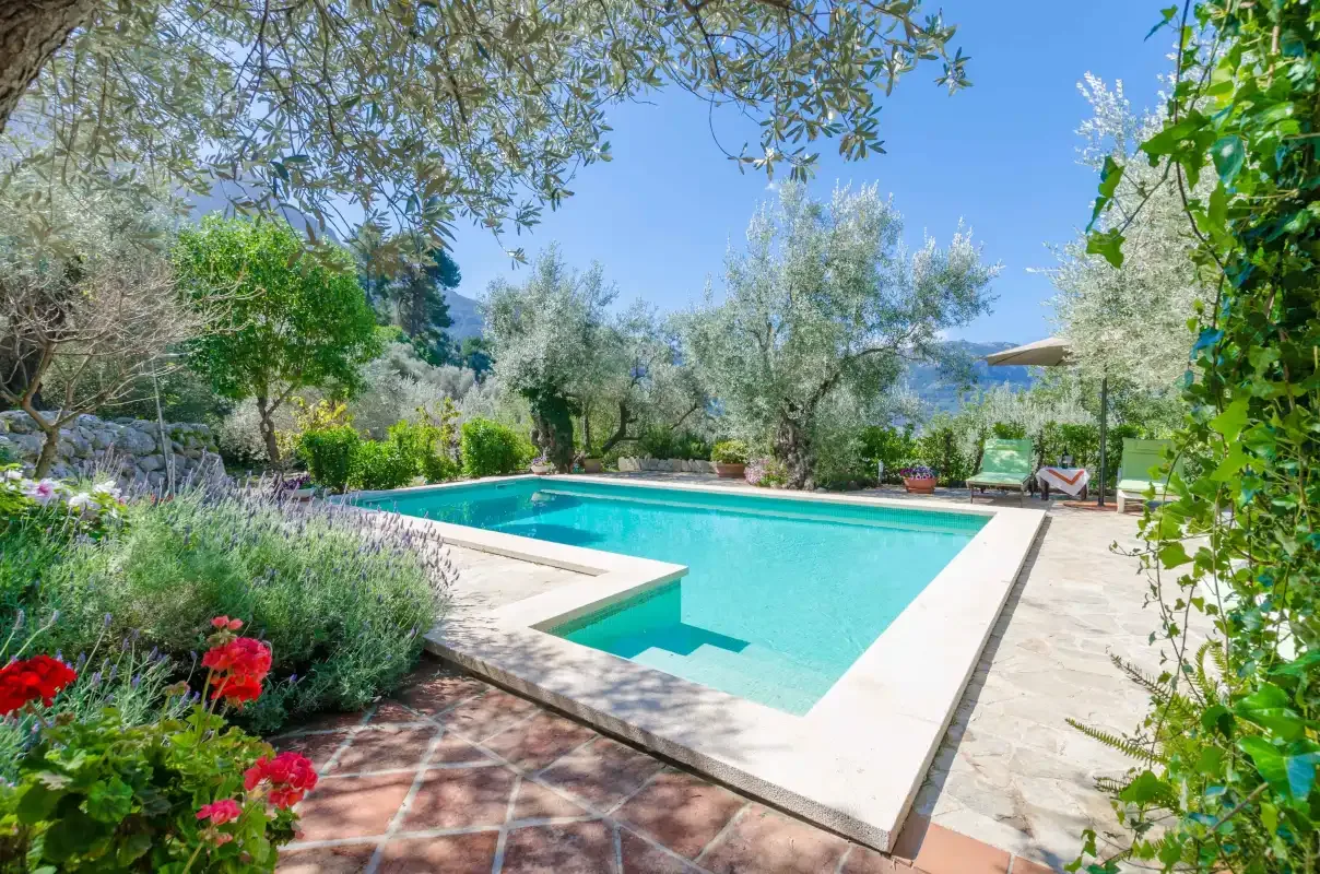 An outdoor swimming pool is surrounded by trees and flowering plants.