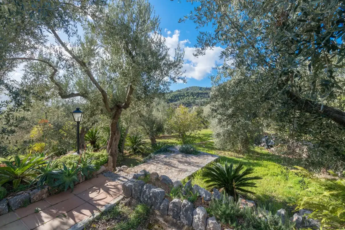 A garden path winds between leafy trees and low stone borders.