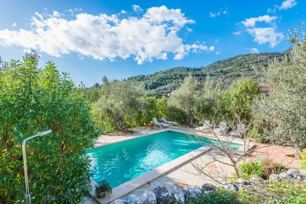 An outdoor swimming pool is surrounded by greenery, with hills in the distance.
