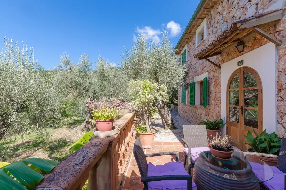 A stone house opens onto a sunny terrace bordered by olive trees.