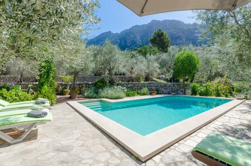 An outdoor swimming pool sits beside a stone patio, with trees and mountains beyond.