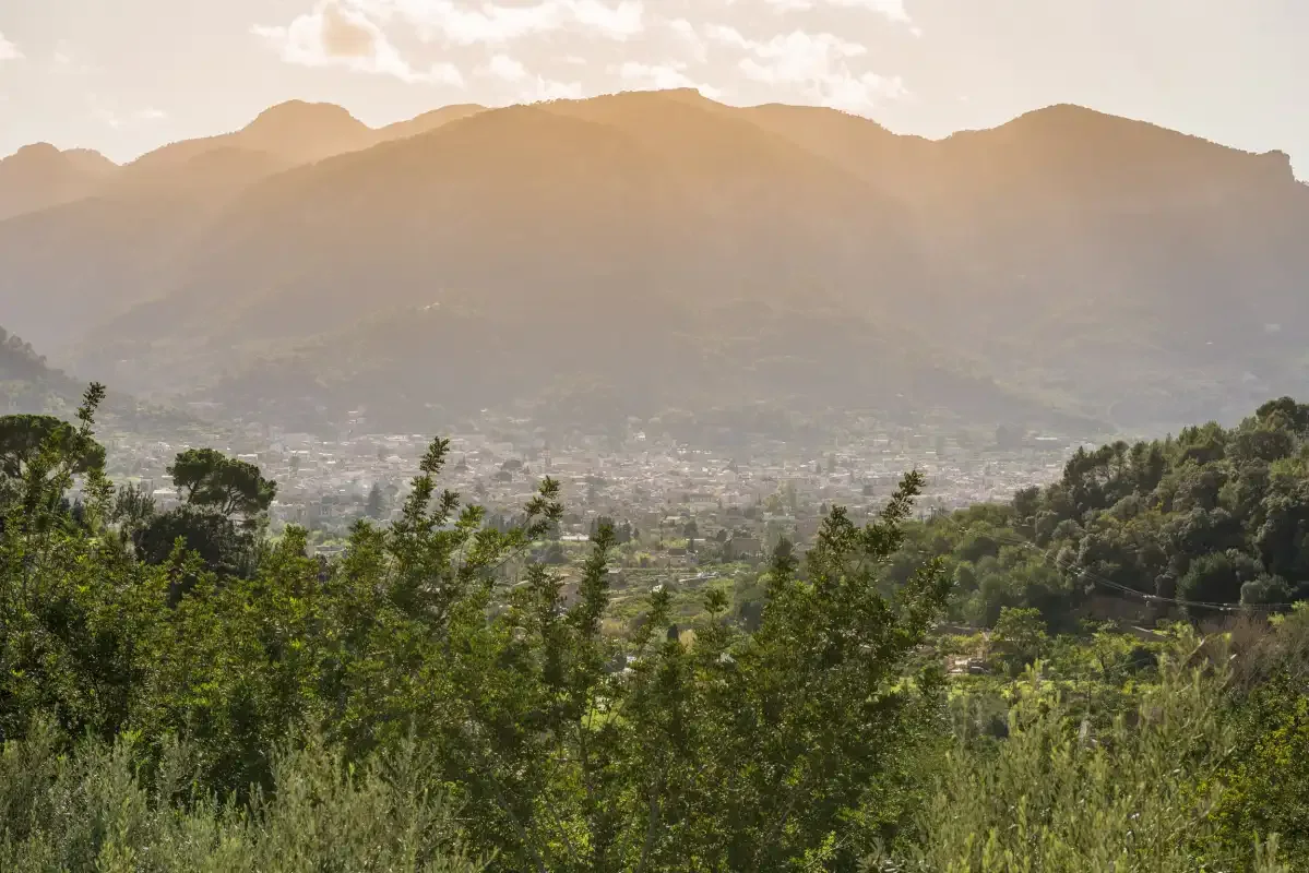 A mountain landscape rises above a valley, with trees in the foreground.