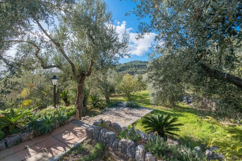 A garden path winds among trees and low stone borders beneath a blue sky.