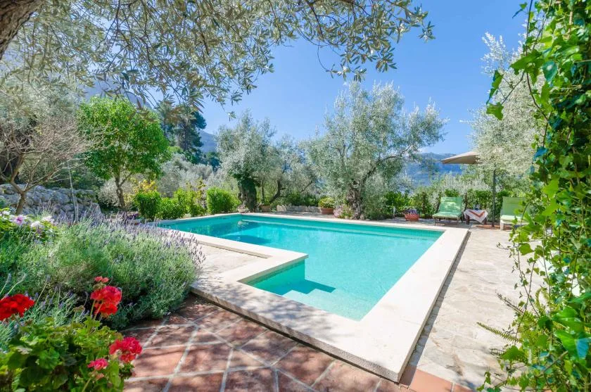 A swimming pool sits in a garden with trees and flowering plants.