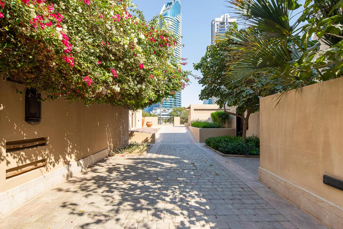 Un camino pavimentado pasa entre arbustos en flor y palmeras.