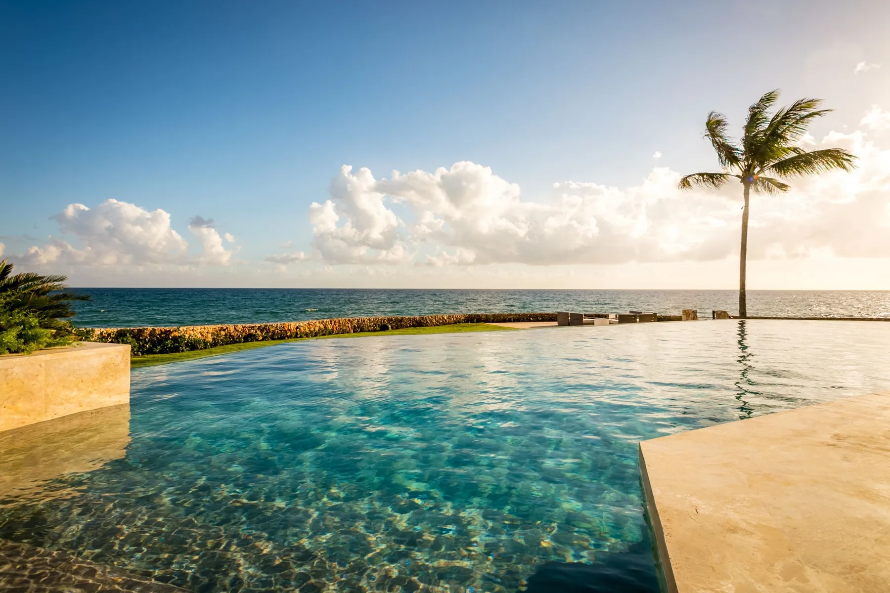 An infinity pool overlooks the ocean, with a palm tree along the shore.